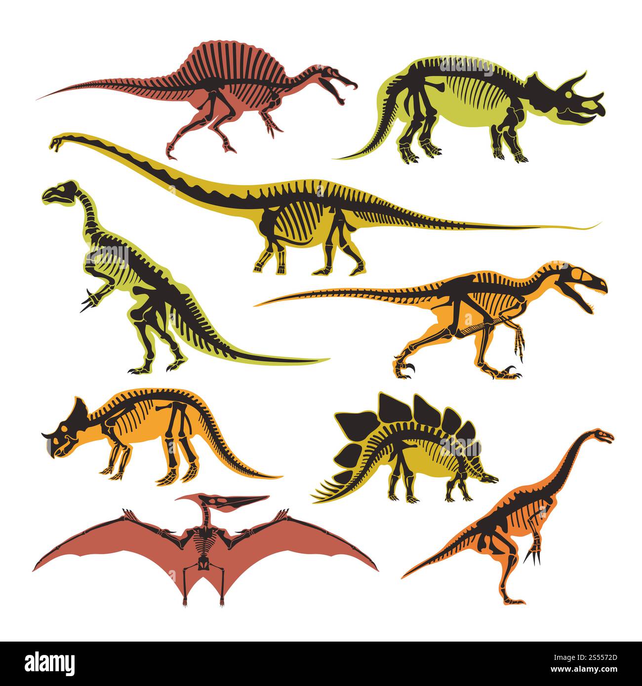 Dinosauri scheletri e sagome vettoriali icone isolate. Rettili fossili del Giurassico di T Rex tyrannosaurus, pterodattilo e brontosaurus per la progettazione del museo archeologico dei dinosauri. Dinosauri scheletri e sagome vettoriali icone isolate di tyrannosaurus, pterodattilo e brontosaurus Illustrazione Vettoriale
