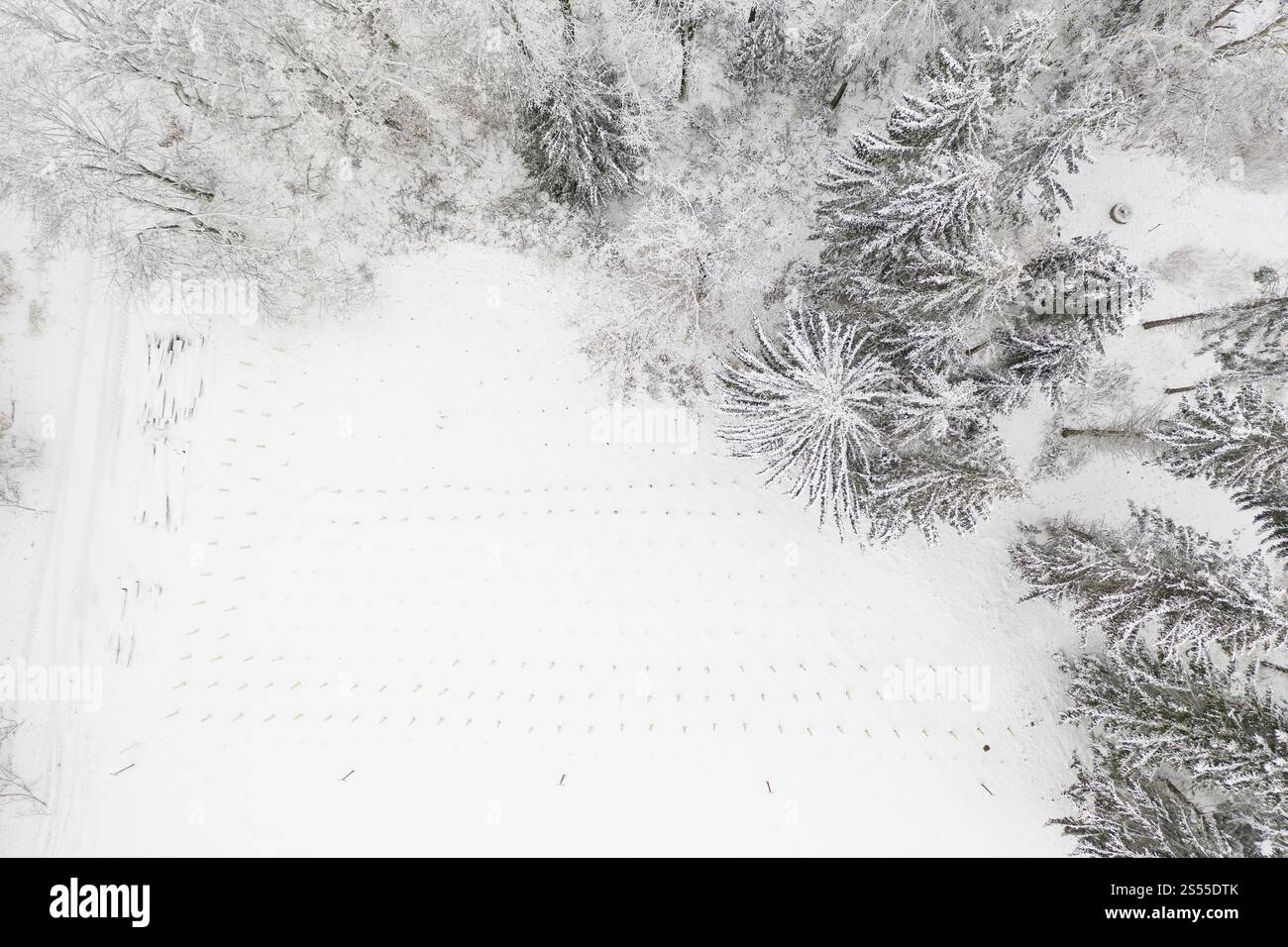 Vista aerea di una foresta di conifere innevata vicino a Oederan, Sassonia, Germania, Europa Foto Stock