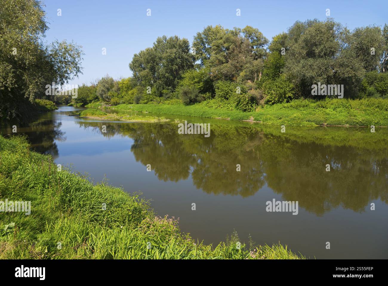 Fiume calmo circondato da vegetazione verde e alberi che si riflettono nell'acqua, fiume di prua, confine con l'Ucraina, BereZnica, Bereznica, Dorohusk, HorodNo Foto Stock