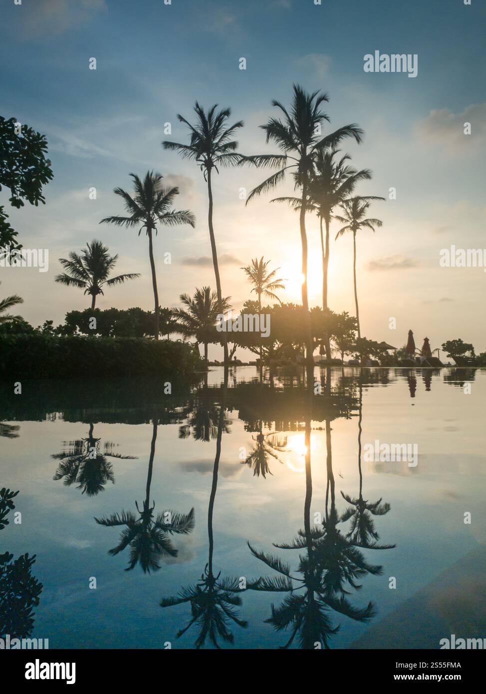 Splendida foto delle forme di palma sulla superficie della piscina a sfioro. Splendida immagine delle sagome di palma sulla superficie di Foto Stock