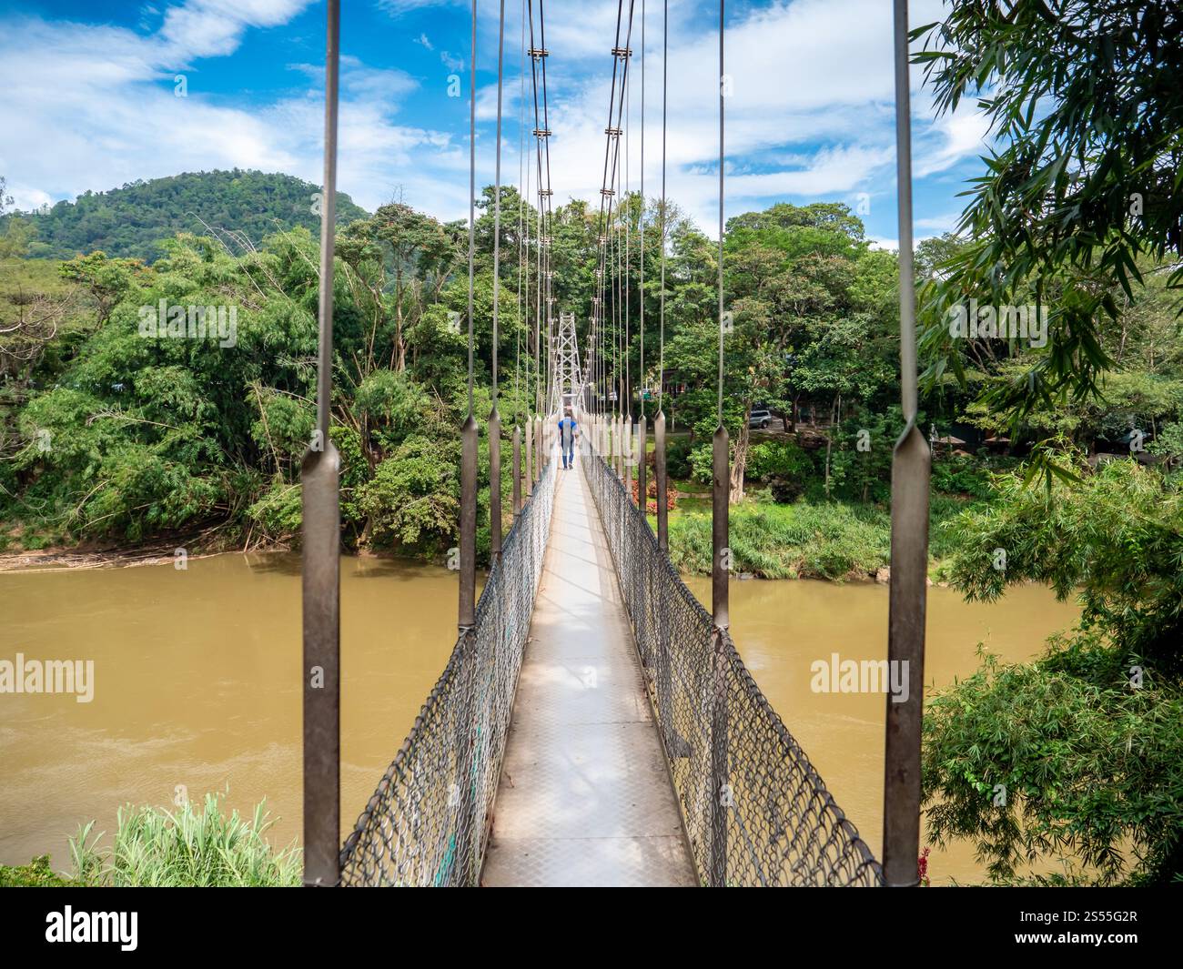 Foto di un giovane che cammina sul vecchio ponte sospeso sul fiume nella foresta pluviale tropicale. Immagine di un giovane che cammina sulla vecchia sospensione Foto Stock