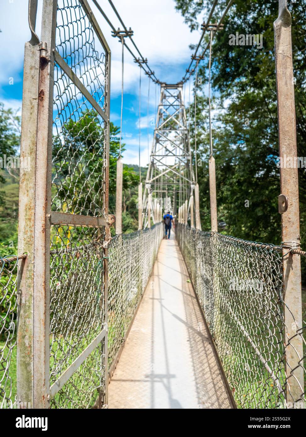 Immagine dell'ingresso al ponte sospeso nella giungla tropicale. Immagine dell'ingresso al ponte sospeso nella giungla tropicale Foto Stock