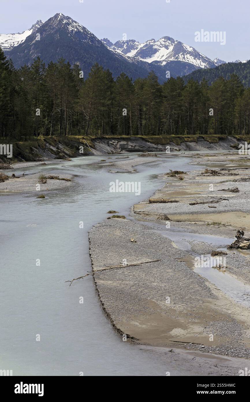 Paesaggio fluviale selvaggio Tiroler Lechtal, Austria, Europa Foto Stock