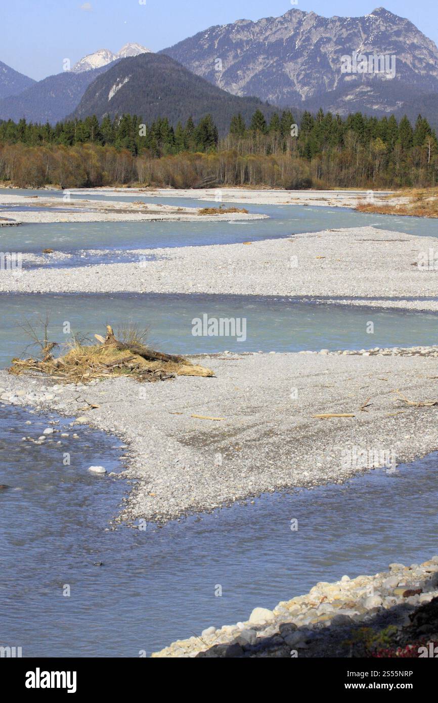 Paesaggio fluviale selvaggio Tiroler Lechtal, Austria, Europa Foto Stock