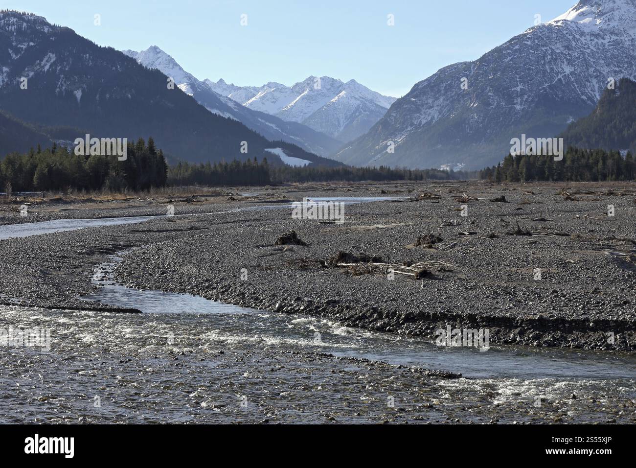 Paesaggio fluviale selvaggio, Tiroler Lechtal Foto Stock