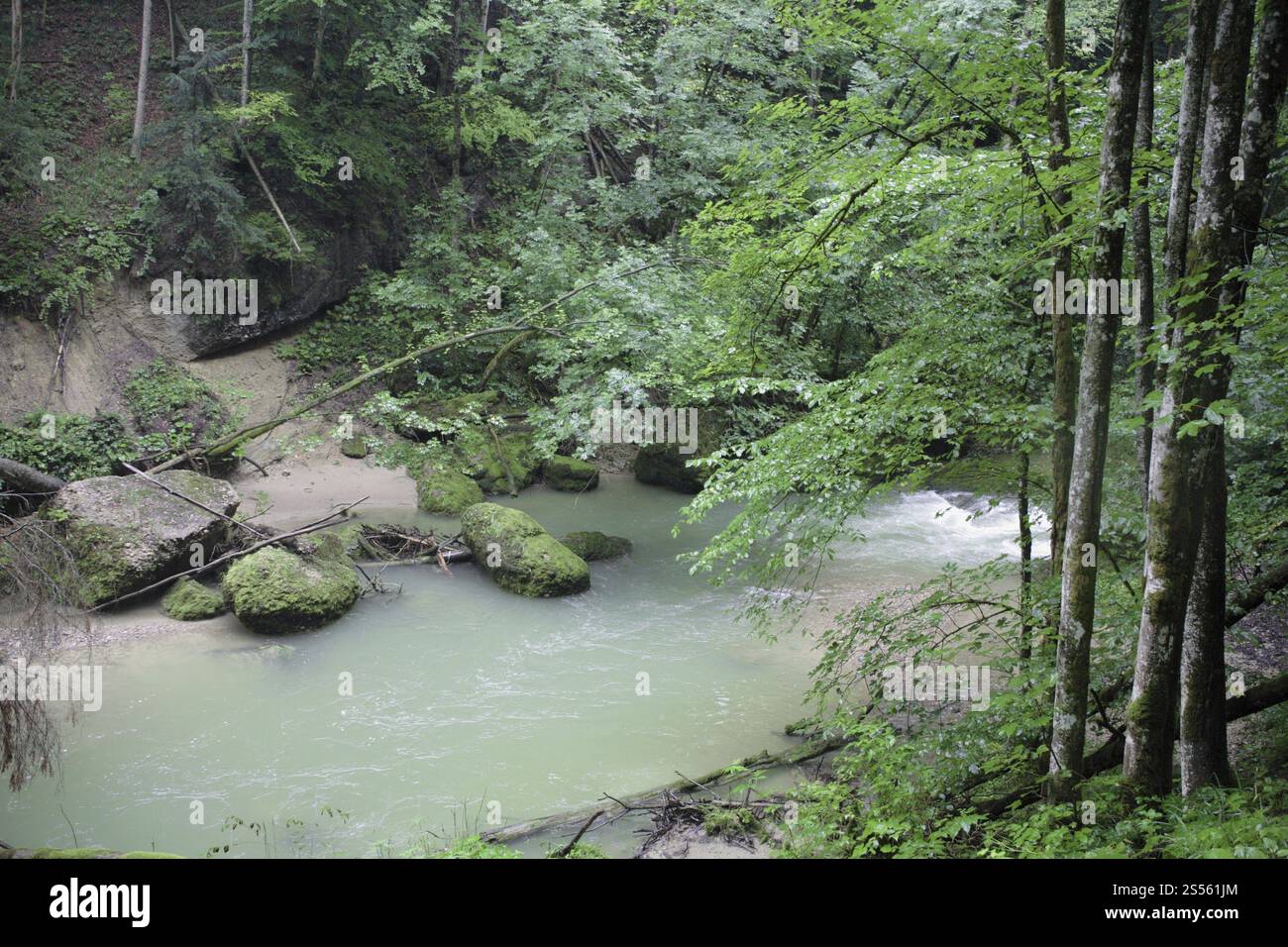 Eistobel nell'Allgaeu Foto Stock