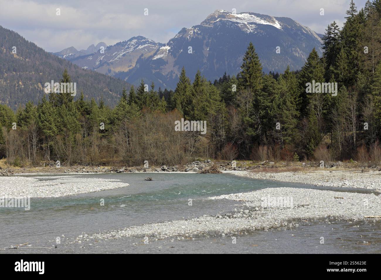 Paesaggio fluviale selvaggio, Tiroler Lechtal Foto Stock