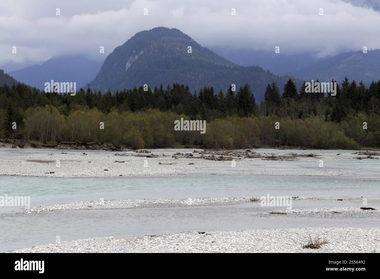 Paesaggio fluviale selvaggio, Tiroler Lechtal Foto Stock