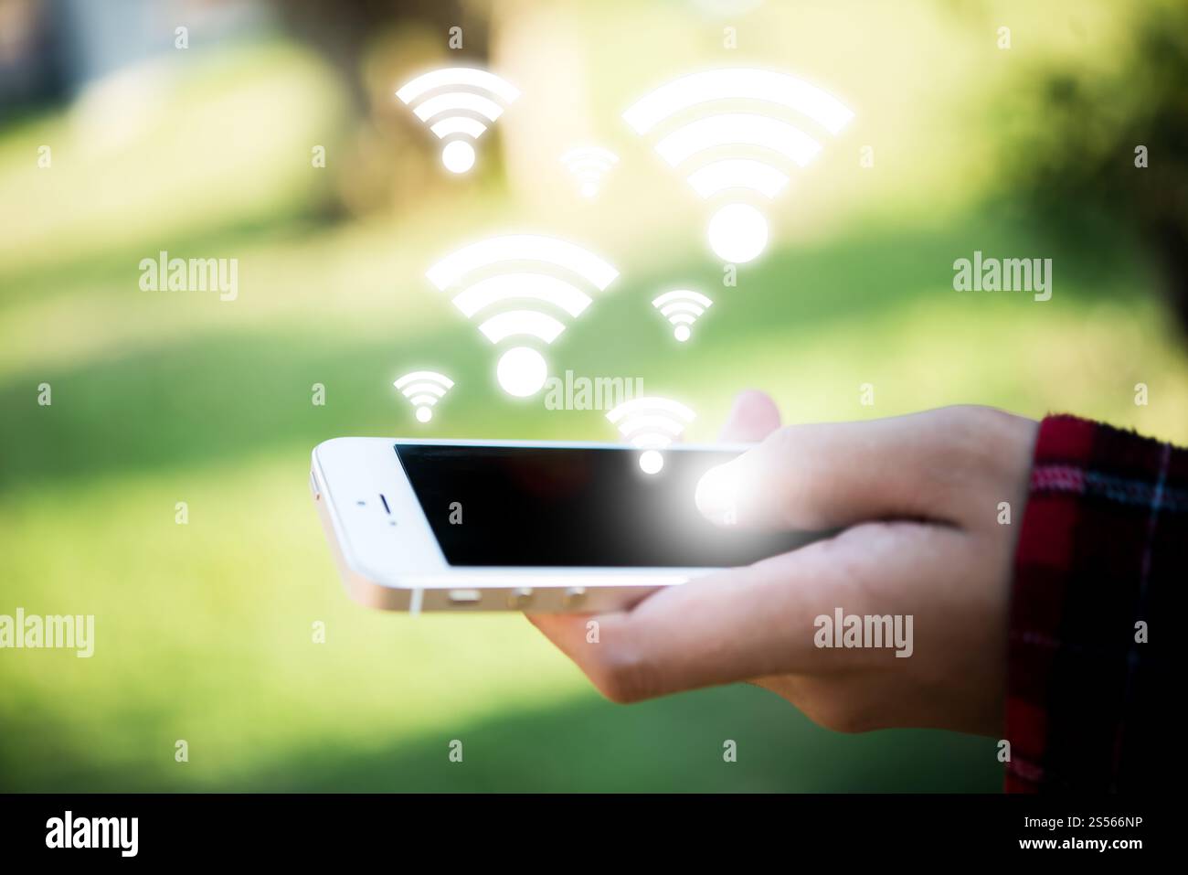 Donna che tiene in mano uno smartphone cellulare con schermo di connessione wi-fi. Foto Stock