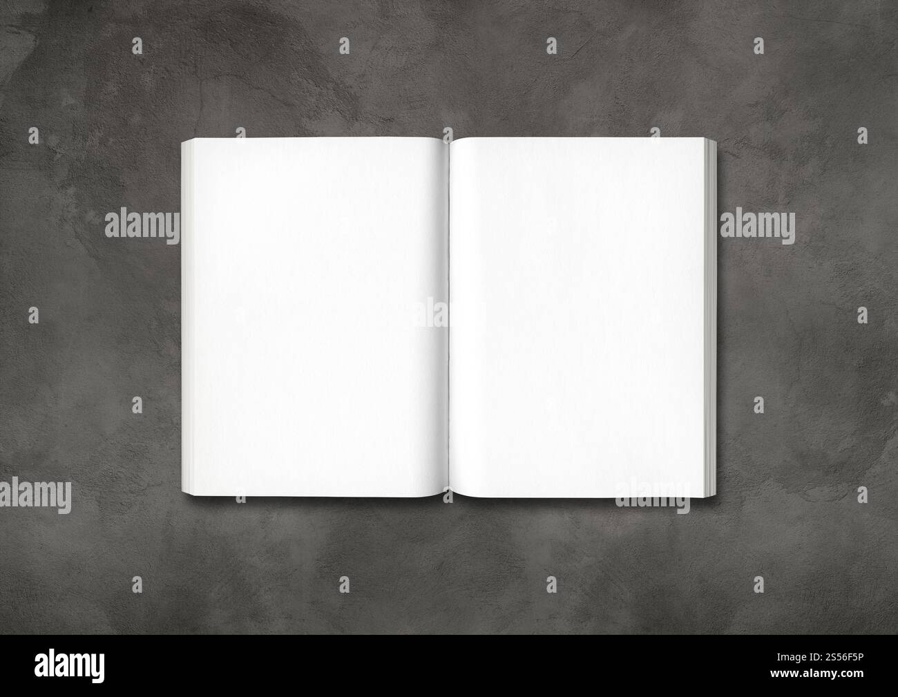 Libro aperto isolato su sfondo di cemento scuro. Libro aperto isolato su cemento scuro Foto Stock