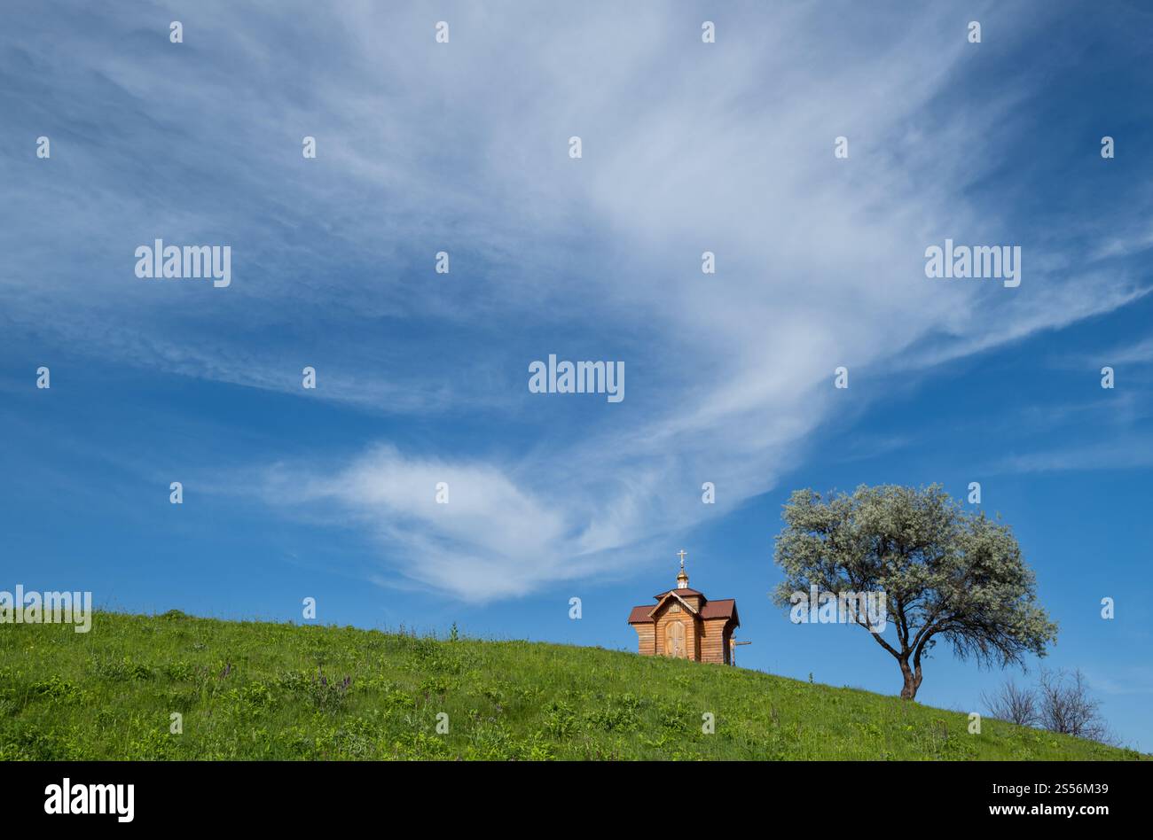 Piccola vecchia cappella in legno sulla cima verde estate erbosa collina, solitario salice albero e cielo blu con nuvola. Foto Stock