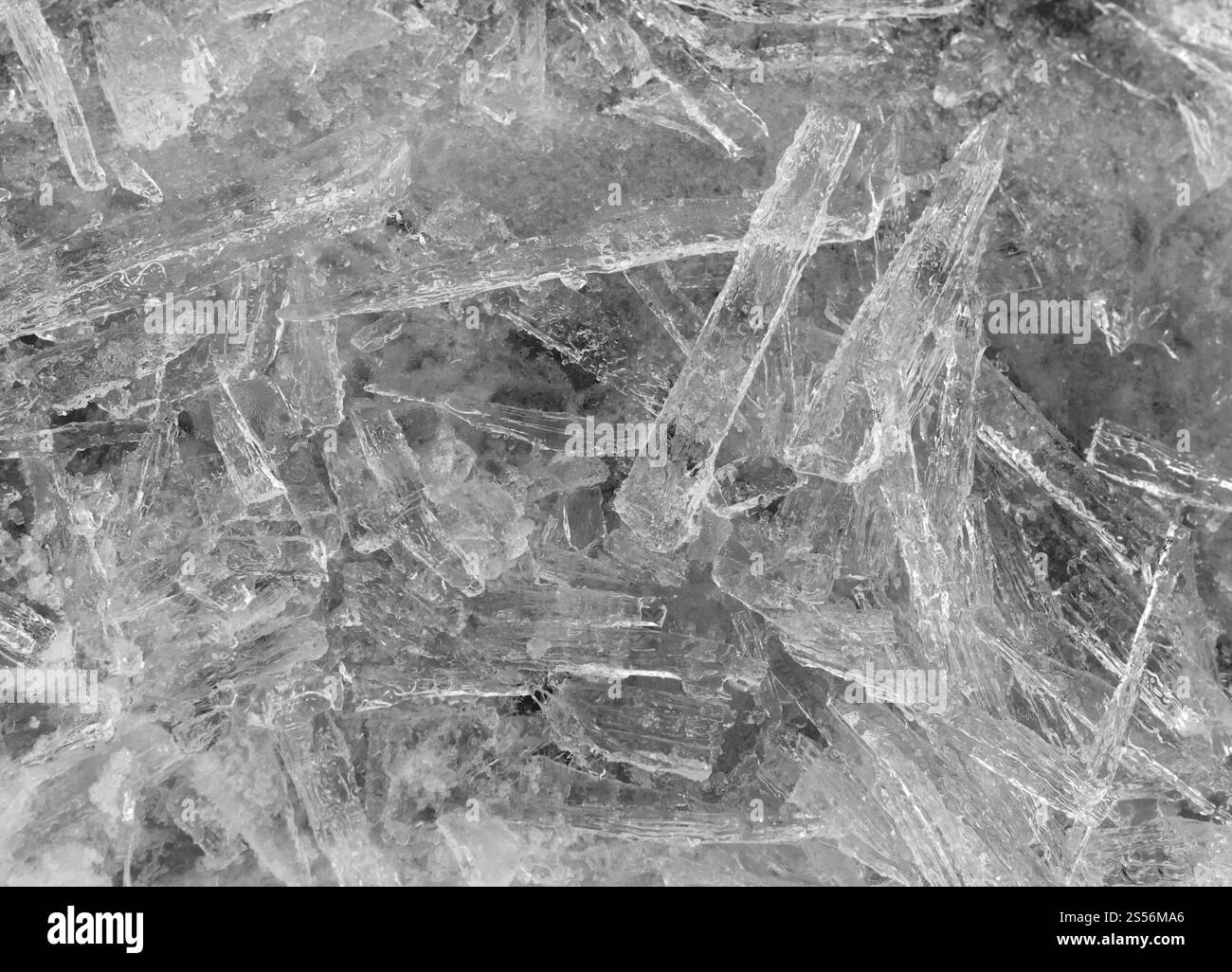 Scala di grigi. Molti pezzi allungati di ghiaccio closeup. Sfondo invernale. Foto Stock
