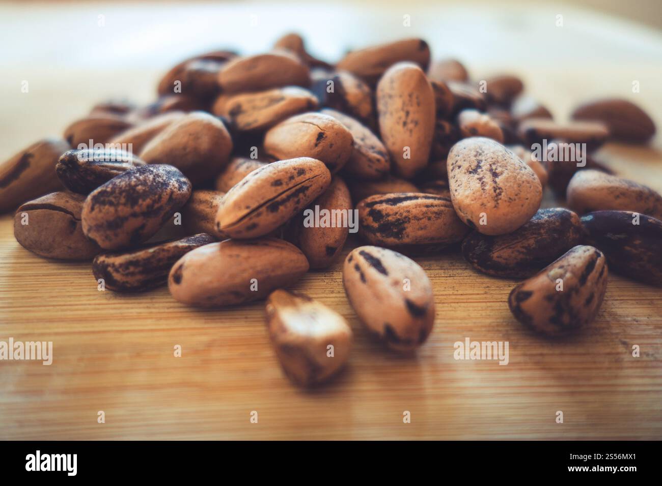 Fagioli di cacao crudi su un bordo di legno. Fagioli di cacao crudi Foto Stock