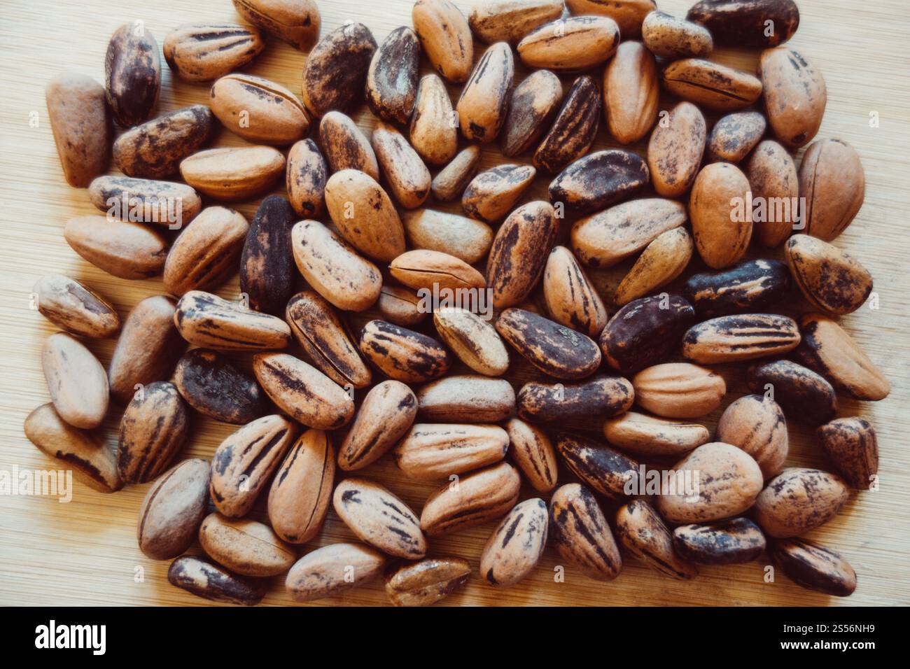 Fagioli di cacao crudi su un bordo di legno. Fagioli di cacao crudi Foto Stock
