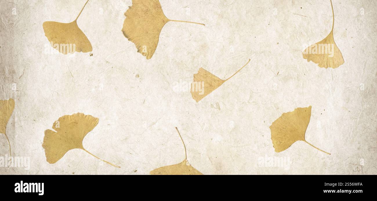 Sfondo a trama di carta con petali di fiori fatti a mano. Striscione orizzontale. Carta con petali di fiori fatta a mano. Striscione orizzontale Foto Stock