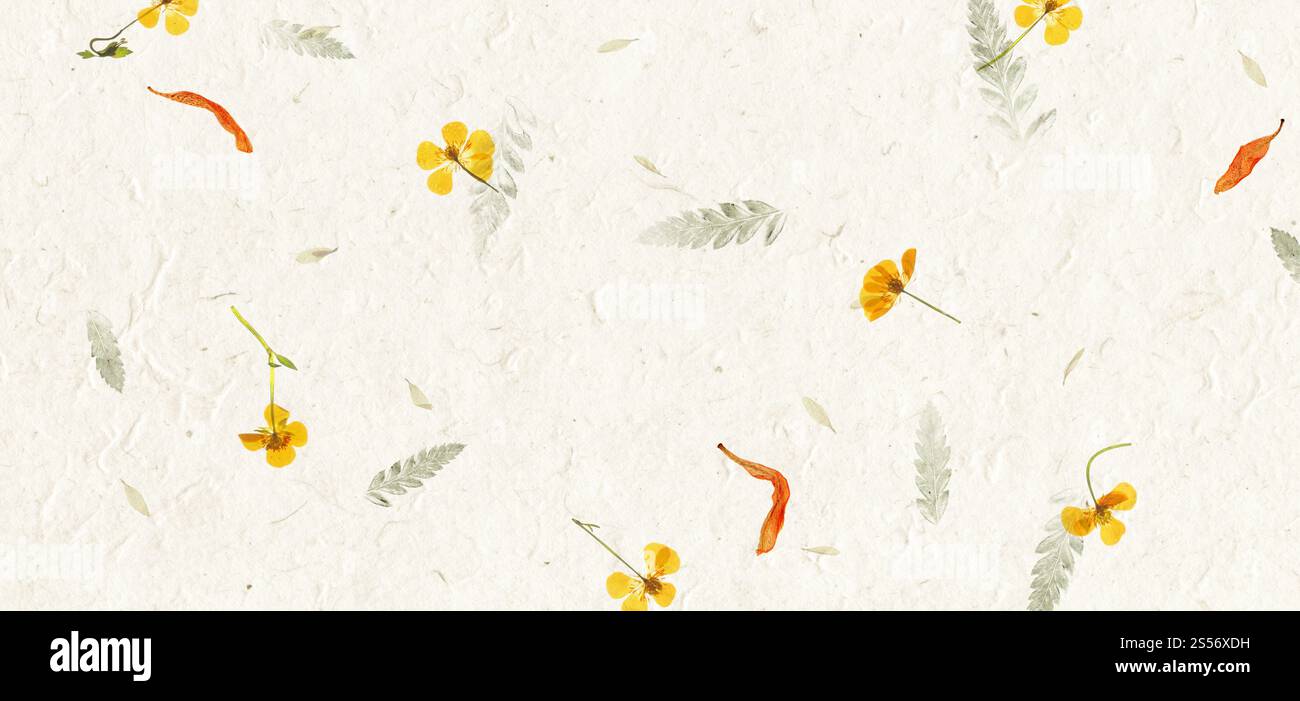 Sfondo a trama di carta con petali di fiori fatti a mano. Striscione orizzontale. Carta con petali di fiori fatta a mano. Striscione orizzontale Foto Stock