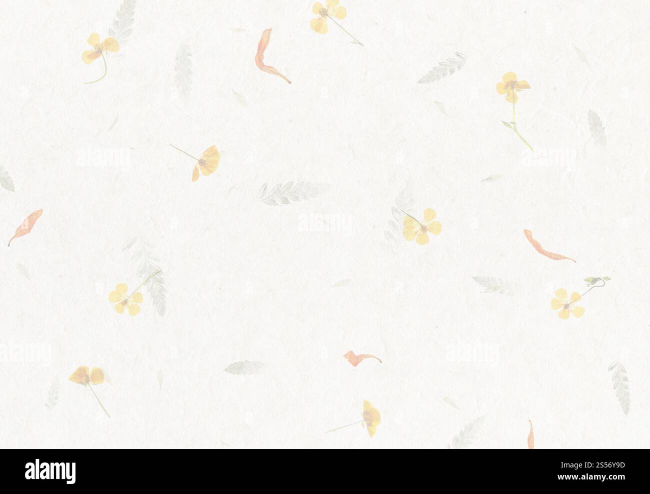 Sfondo a trama di carta con petali di fiori fatti a mano. Carta con petali di fiori fatta a mano Foto Stock