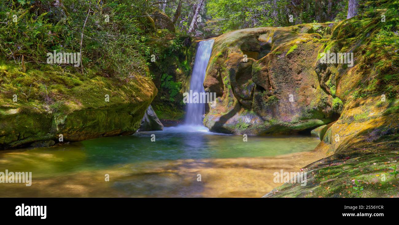 Le cascate di Skull Rock Falls cascata con acque cristalline del fiume nella foresta pluviale lungo il fiume Liffey, Liffey Forest Reserve, Tasmania, Australia Foto Stock