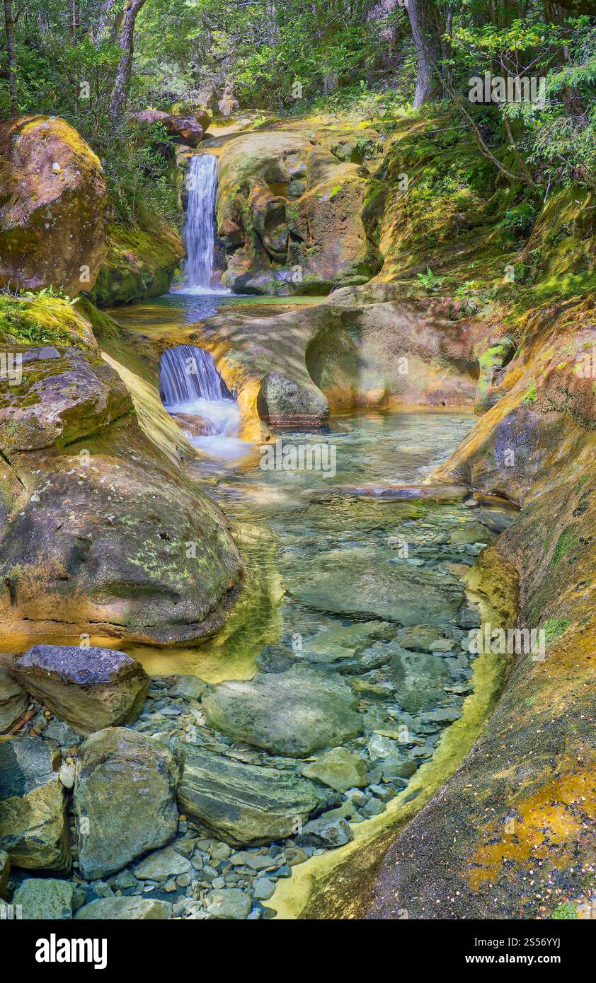 Le cascate di Skull Rock Falls cascata con acque cristalline del fiume nella foresta pluviale lungo il fiume Liffey, Liffey Forest Reserve, Tasmania, Australia Foto Stock