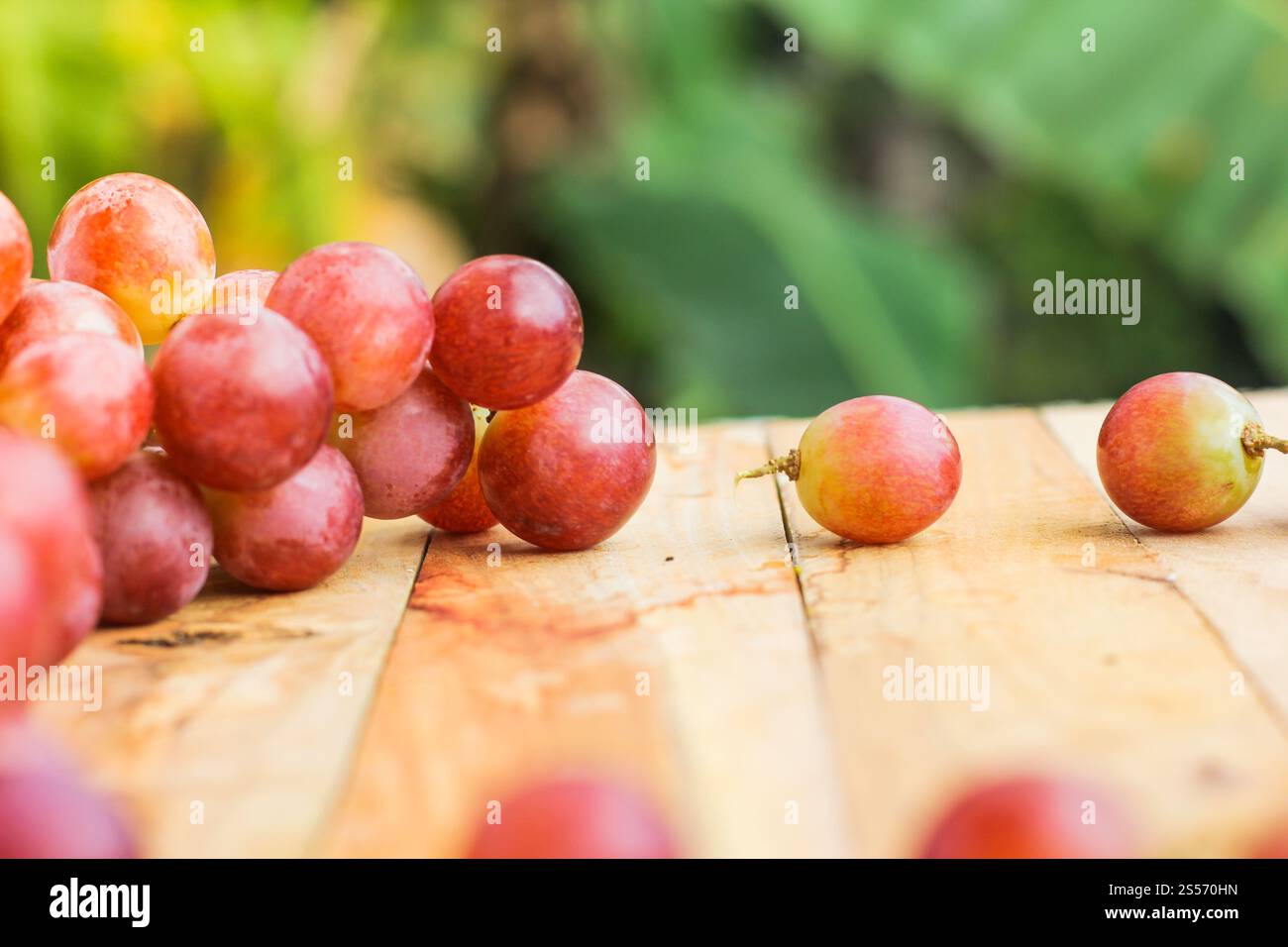 uva frutta su fondo di legno Foto Stock