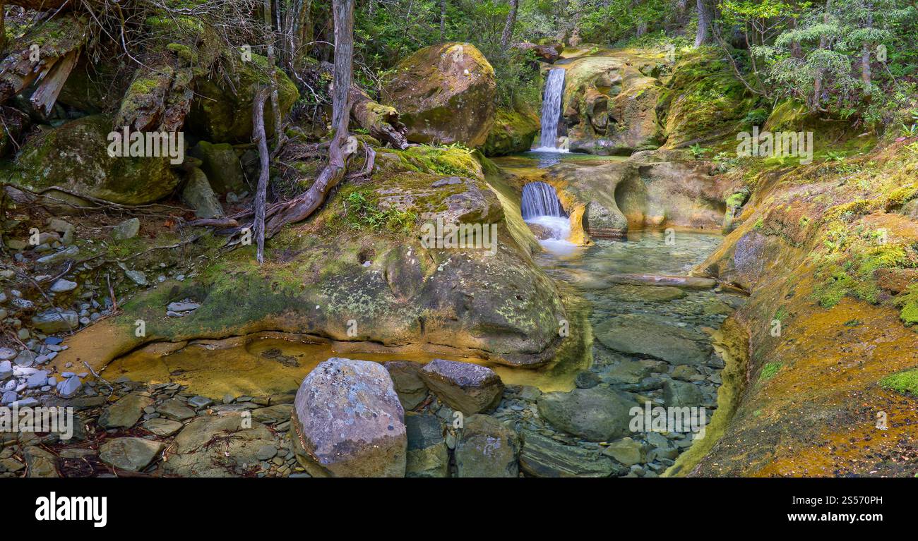 Le cascate di Skull Rock Falls cascata con acque cristalline del fiume nella foresta pluviale lungo il fiume Liffey, Liffey Forest Reserve, Tasmania, Australia Foto Stock