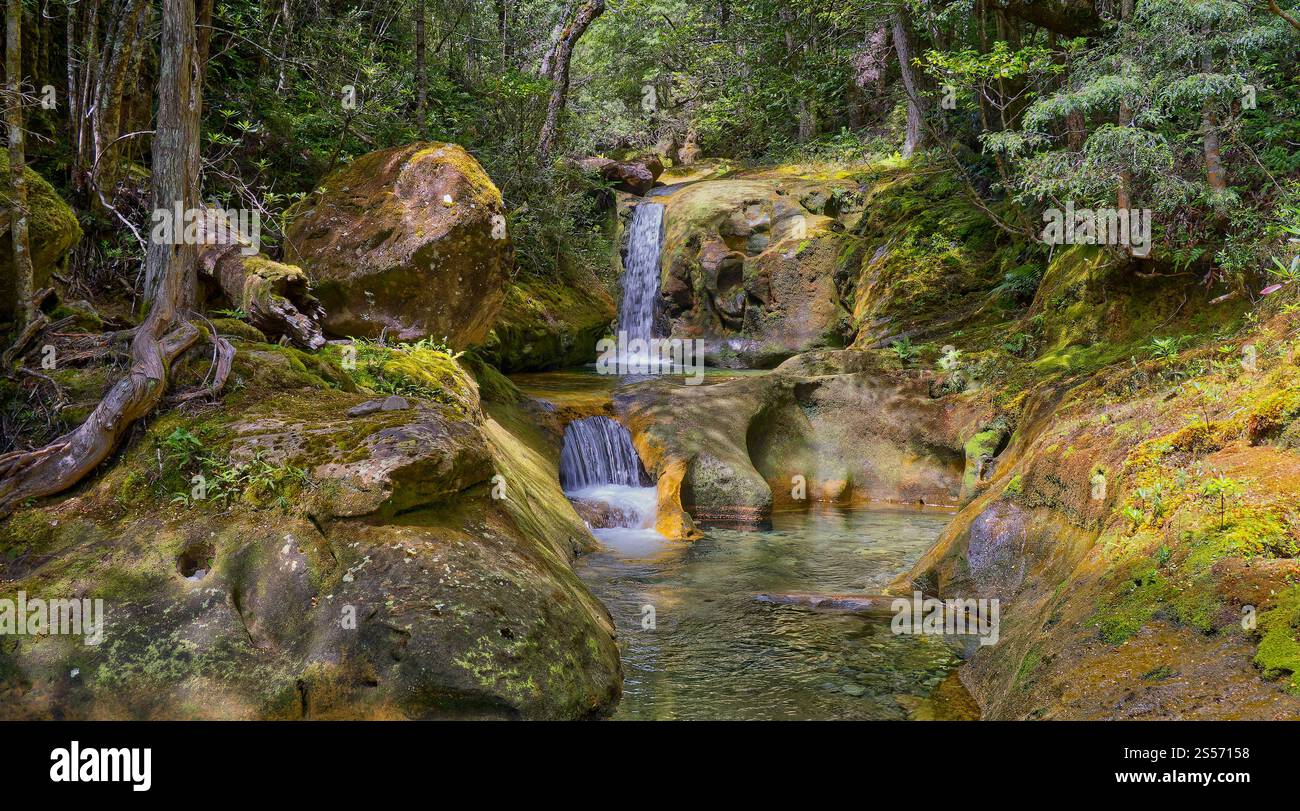 Le cascate di Skull Rock Falls cascata con acque cristalline del fiume nella foresta pluviale lungo il fiume Liffey, Liffey Forest Reserve, Tasmania, Australia Foto Stock