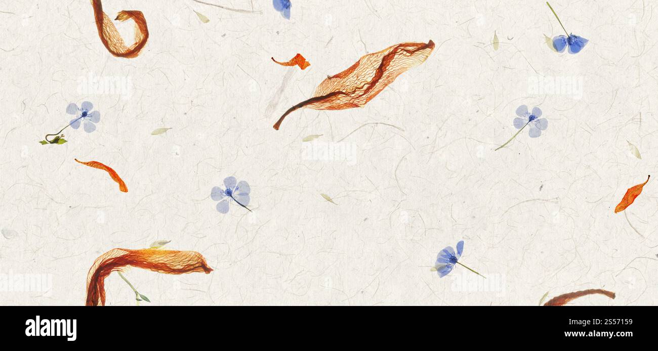 Sfondo a trama di carta con petali di fiori fatti a mano. Striscione orizzontale. Carta con petali di fiori fatta a mano. Striscione orizzontale Foto Stock