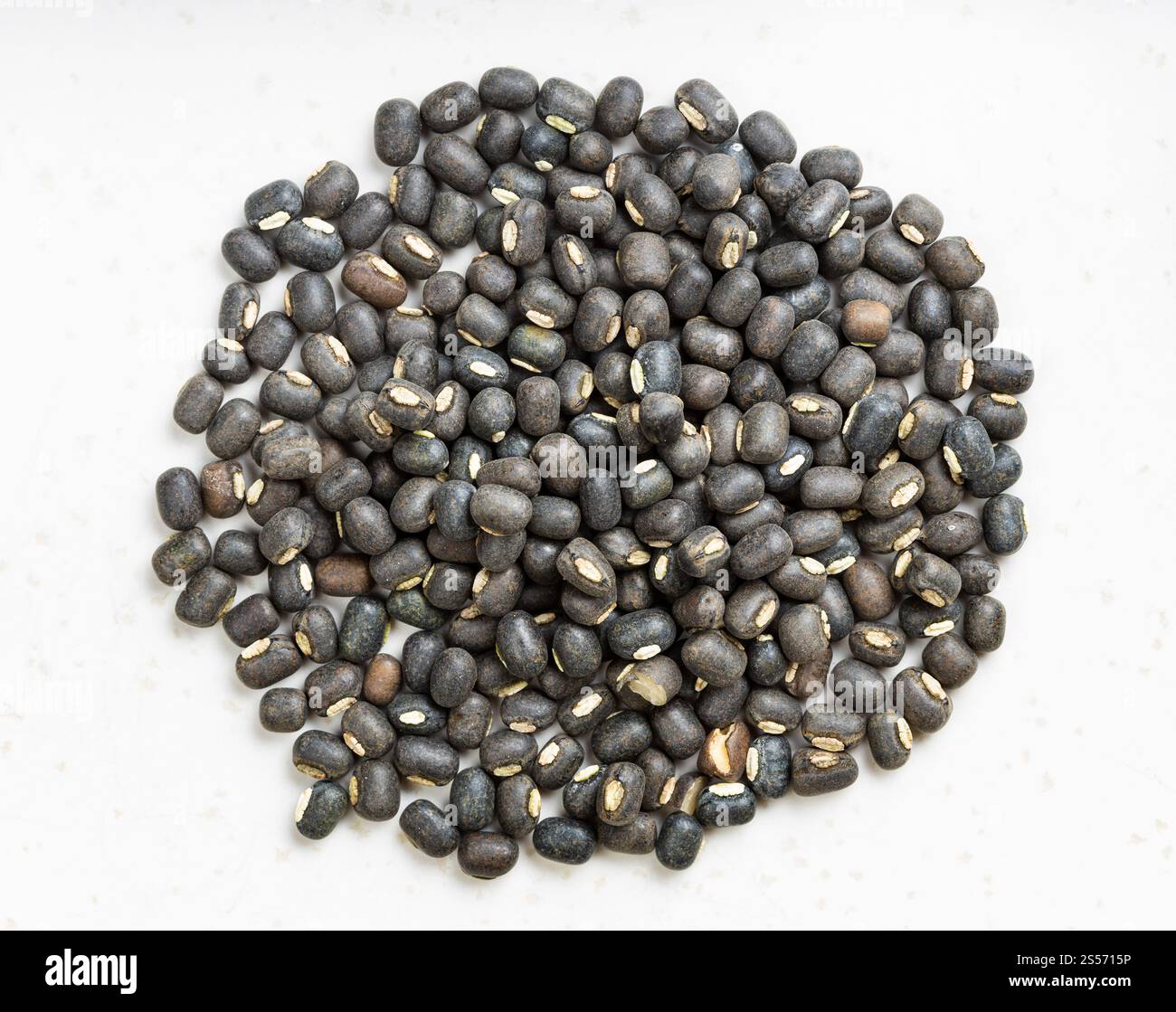 cumulo di fagioli interi grezzi di urad neri primo piano su piastra in ceramica grigia Foto Stock