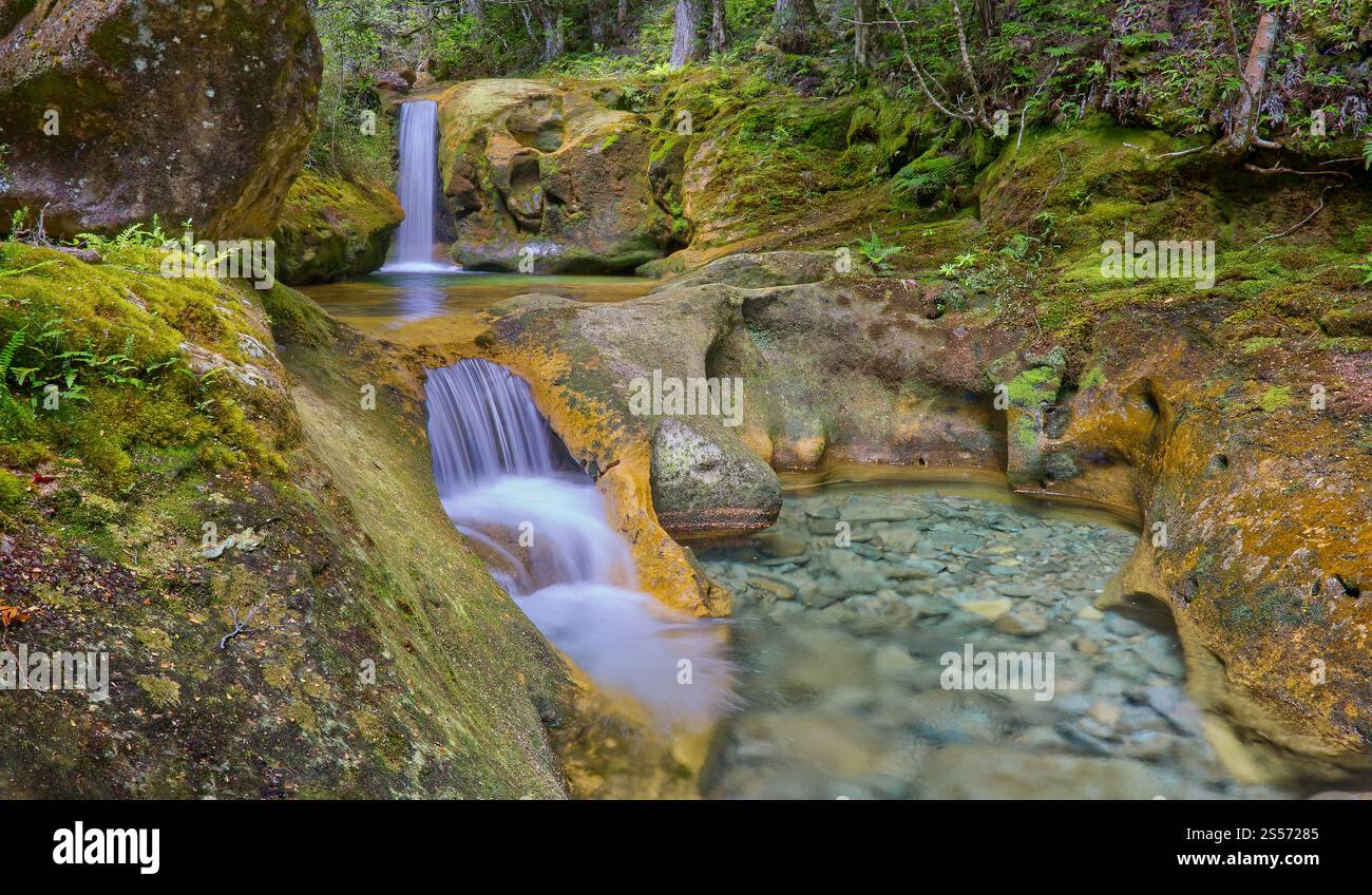 Le cascate di Skull Rock Falls cascata con acque cristalline del fiume nella foresta pluviale lungo il fiume Liffey, Liffey Forest Reserve, Tasmania, Australia Foto Stock