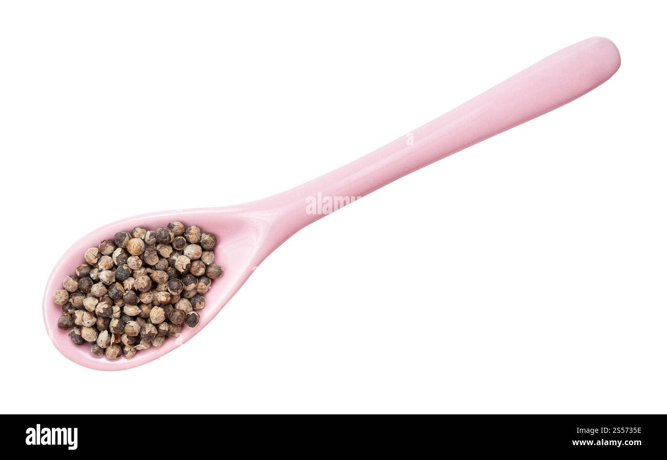 vista dall'alto del pepe di monaci (vitex) in un cucchiaio di ceramica isolato su backgrouns bianchi Foto Stock