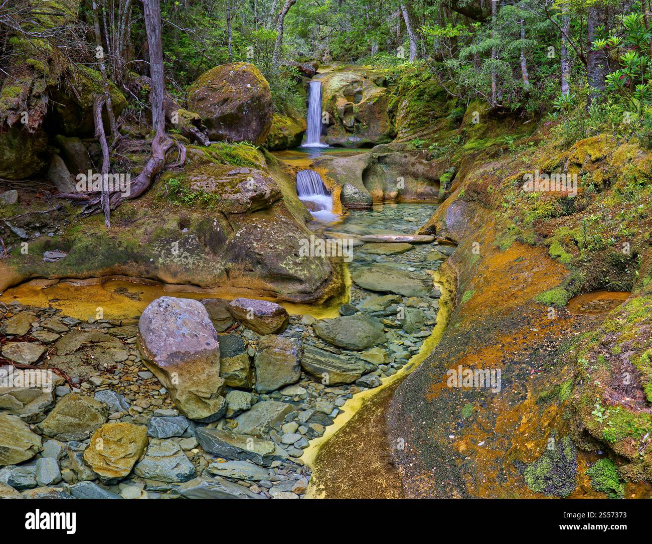 Le cascate di Skull Rock Falls cascata con acque cristalline del fiume nella foresta pluviale lungo il fiume Liffey, Liffey Forest Reserve, Tasmania, Australia Foto Stock