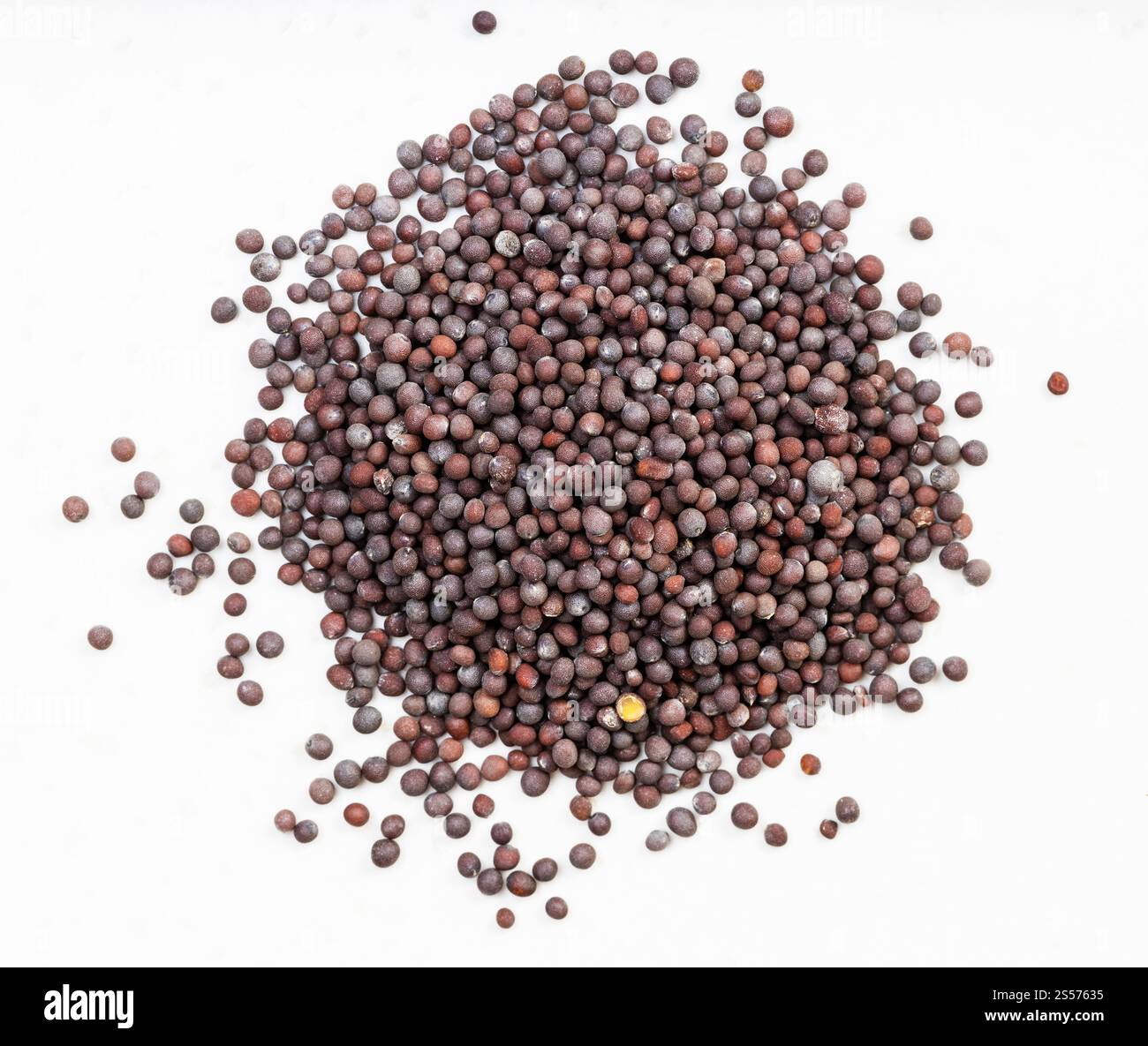 vista dall'alto del mucchio di semi marroni di brassica nigra primo piano della senape sulla piastra in ceramica grigia Foto Stock