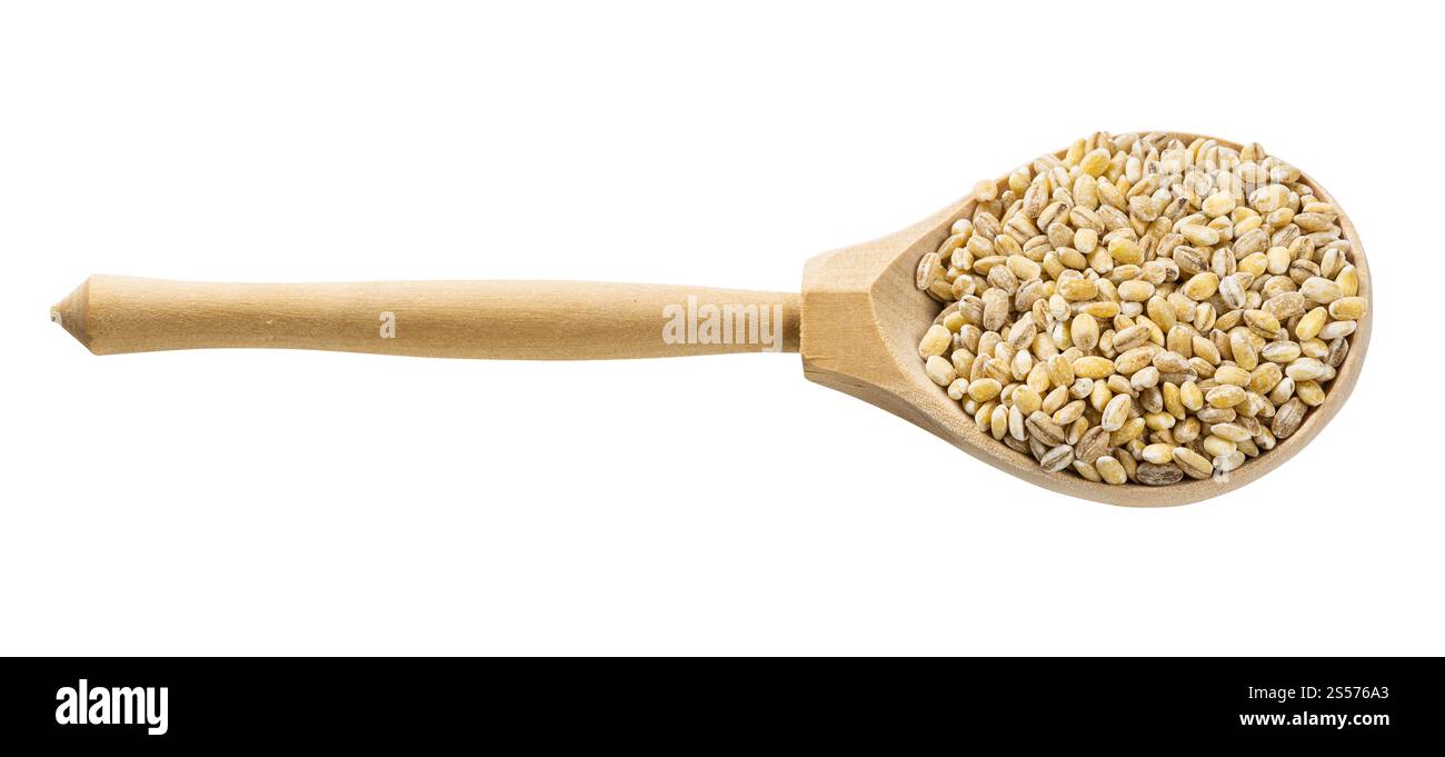 cucchiaio di legno con grani di orzo perlati non cotti isolati su bianco sfondo Foto Stock