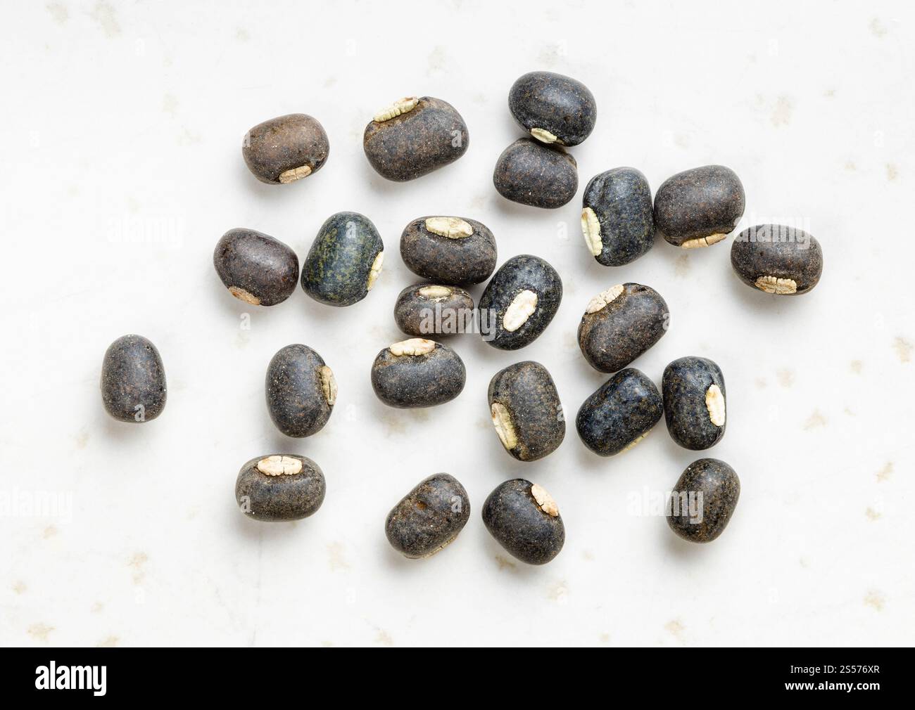 diversi chicchi interi grezzi di urad neri si avvicinano al grigio piastra in ceramica Foto Stock