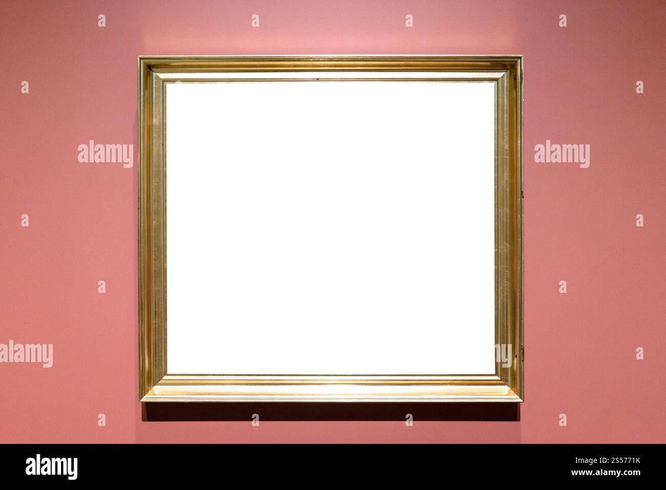 classica cornice dorata con tela tagliata su parete rosa Foto Stock