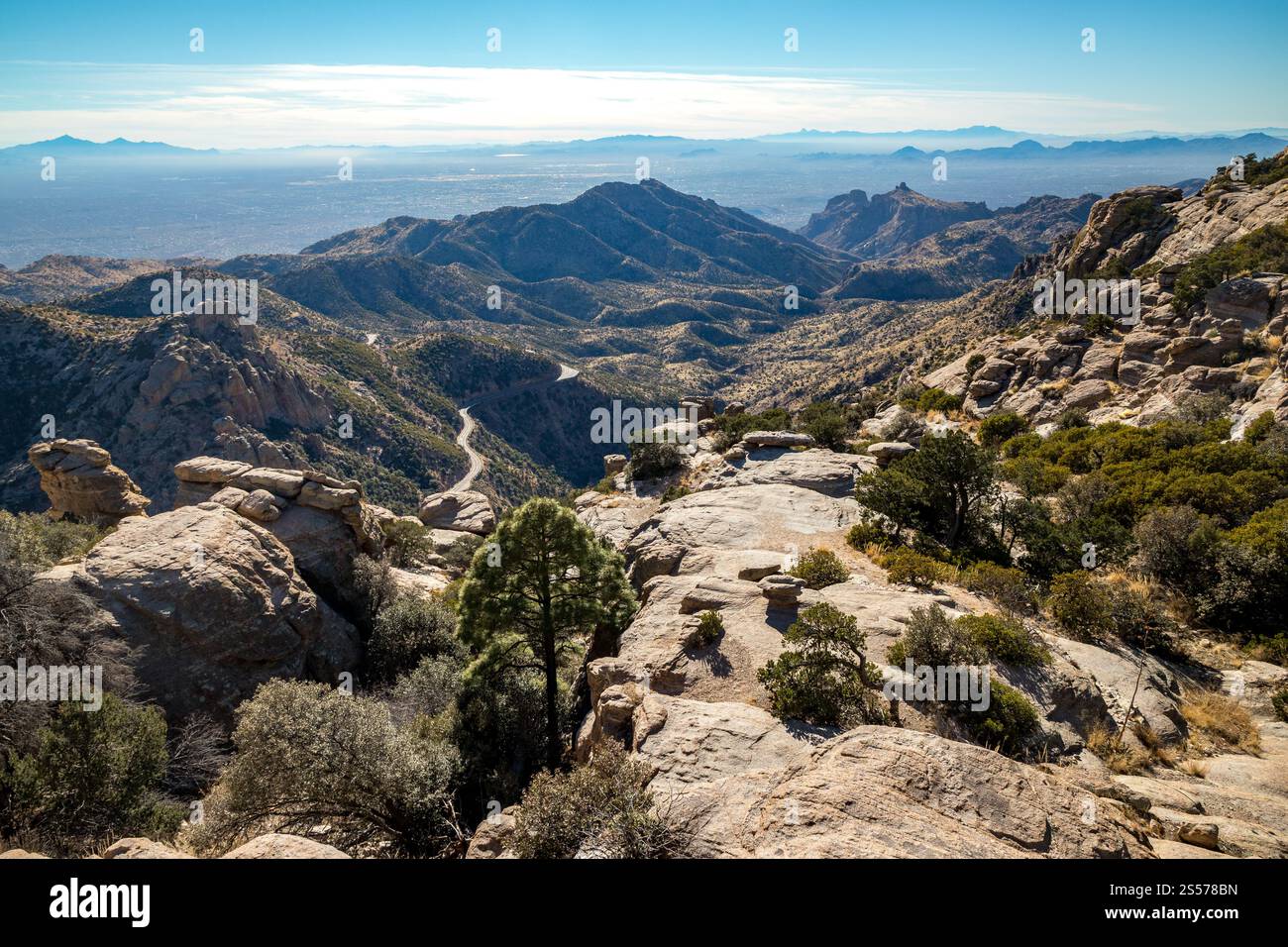 Splendida vista del deserto di Sonora e del paesaggio montuoso da Windy Point Vista, che mostra la bellezza della natura selvaggia dell'Arizona. Foto Stock