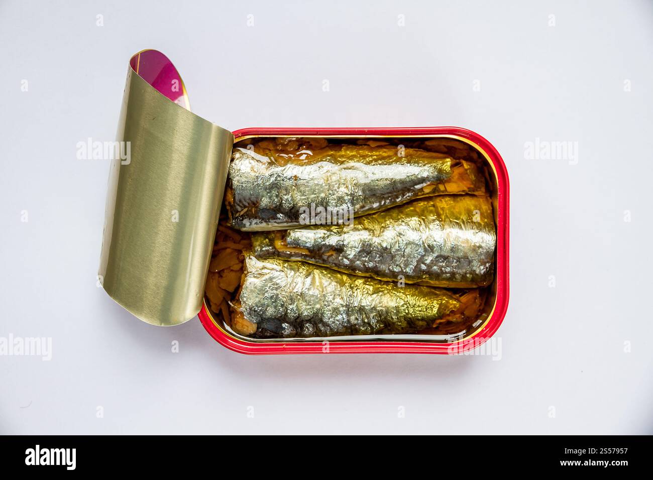 Barattolo di sardine in olio isolato su fondo bianco. Barattolo di sardine in olio su fondo bianco Foto Stock