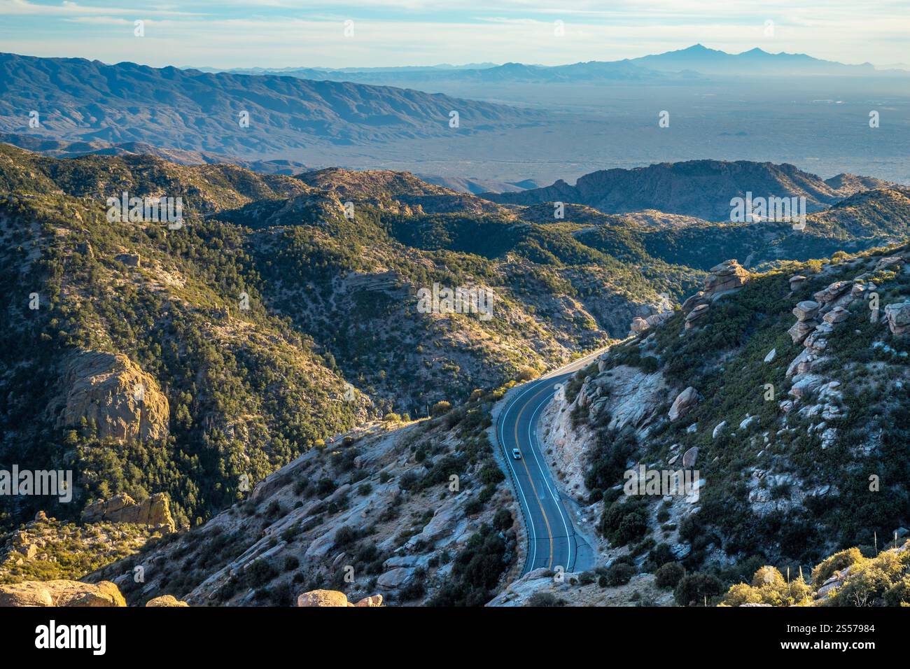 Goditi le viste mozzafiato lungo la Mount Lemmon Highway, che mostra i maestosi paesaggi dell'Arizona e la natura selvaggia variegata. Foto Stock