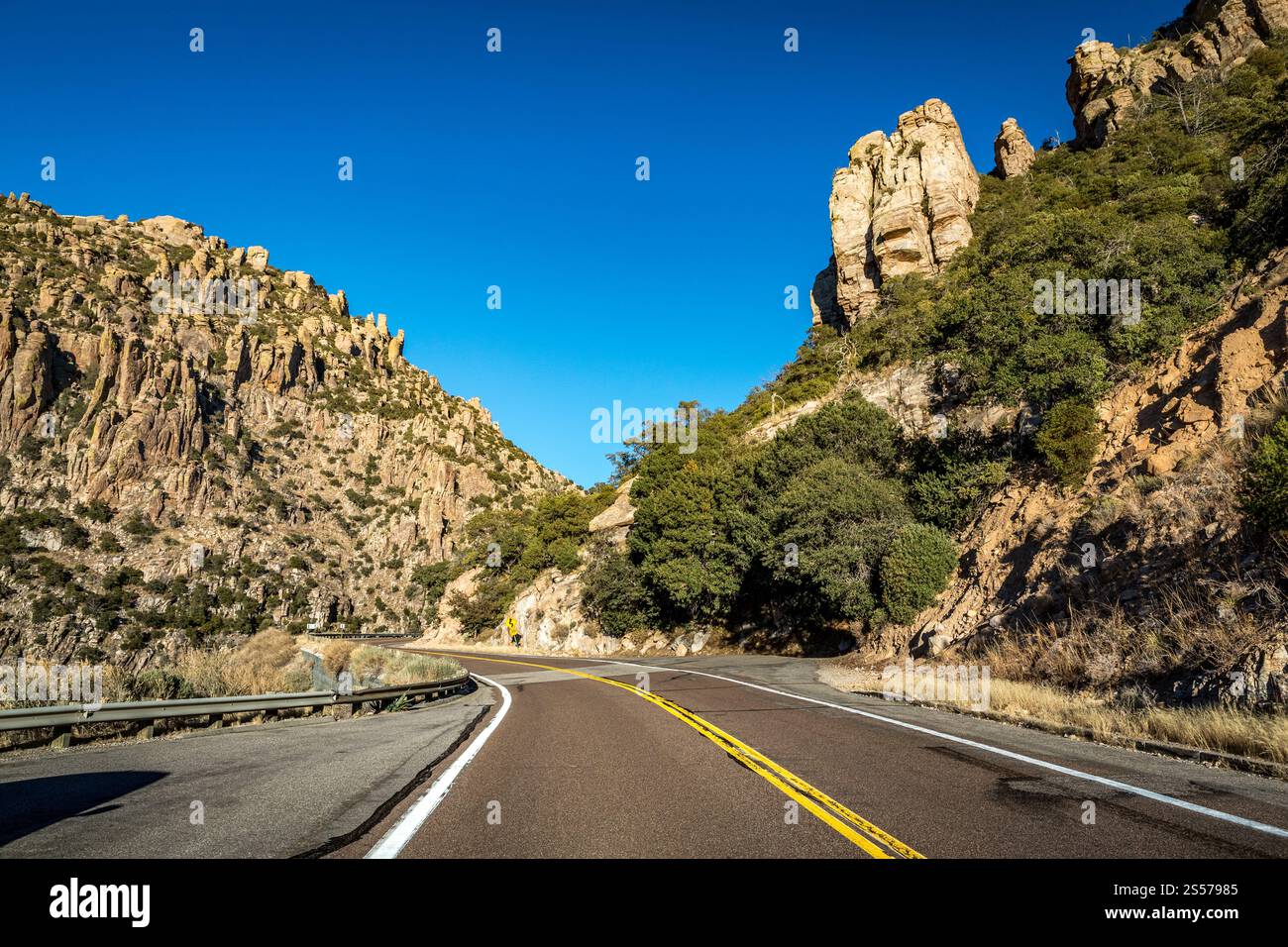 Goditi le viste mozzafiato lungo la Catalina Highway, circondata da maestose montagne e da iconici cactus nel deserto di Sonora. Foto Stock