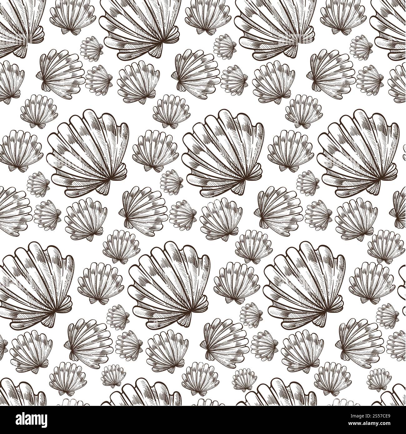 Conchiglia con motivo mare o oceano senza cuciture, decorazione monocromatica dell'acquario. Molluschi o conchiglie cozze dettagliate, vita marina e acquatica. Foto Stock