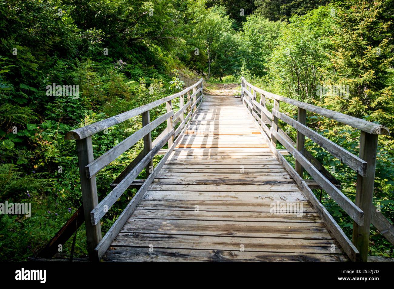 Ponte di legno in una foresta di abeti. La clusaz, alta savoia, Francia. Ponte di legno in una foresta di abeti Foto Stock