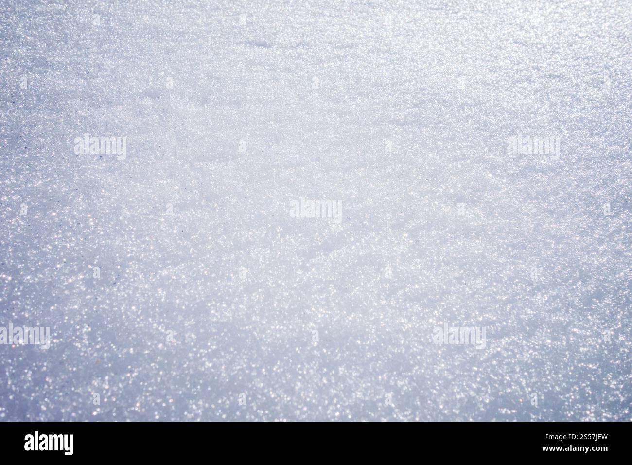 Sfondo texture neve. Sfondo invernale bianco puro. Sfondo texture neve Foto Stock