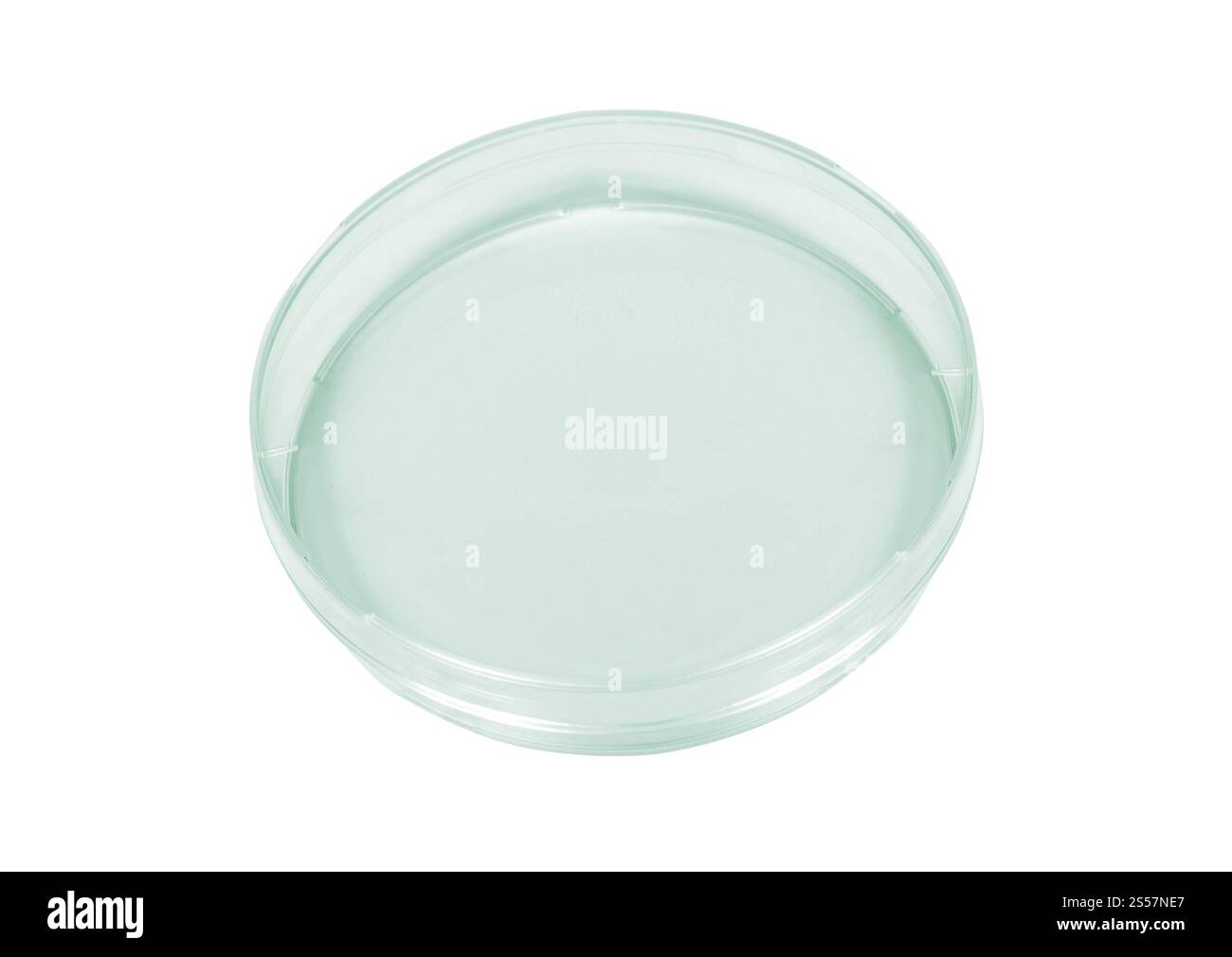 Capsula di Petri isolata su bianco. Piastra Petri Foto Stock