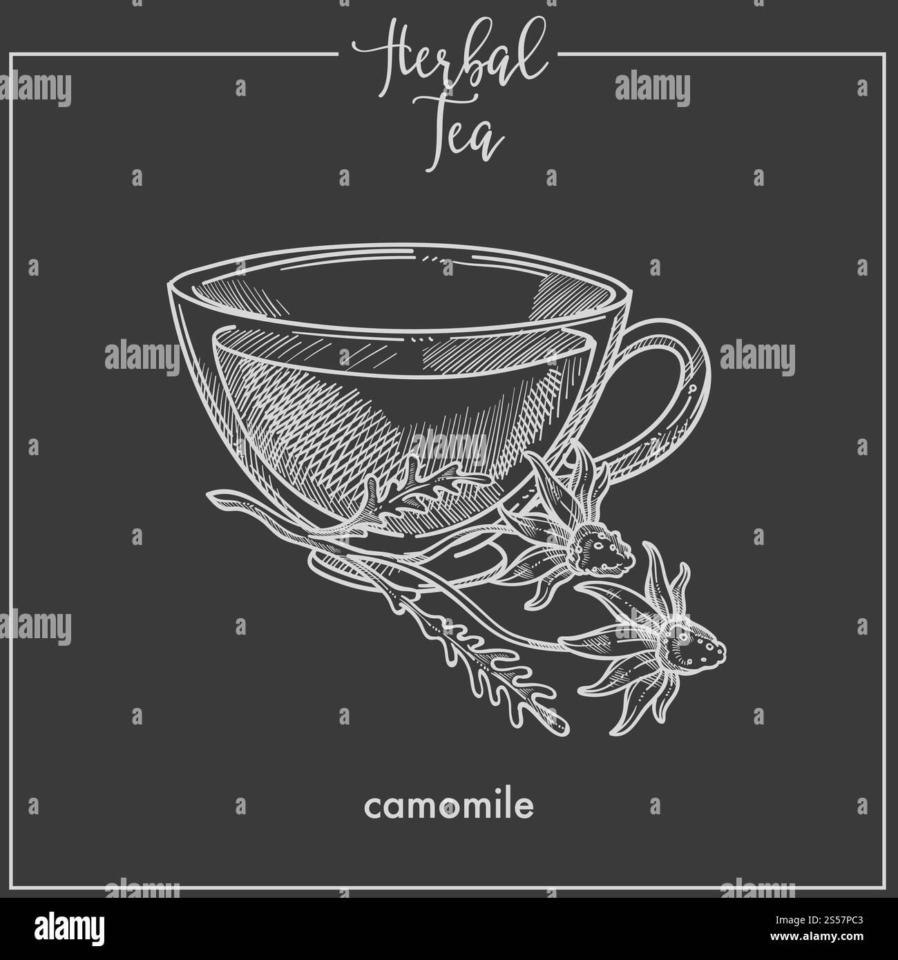 Tè alle erbe con morbida camomilla in tazza di vetro. Bevanda deliziosa con ingredienti naturali che calmano i nervi. Bevanda calda di profumato fiore di campo, cartone animato isolato, immagine vettoriale monocromatica piatta. Tè alle erbe con morbida camomilla in tazza di vetro Illustrazione Vettoriale