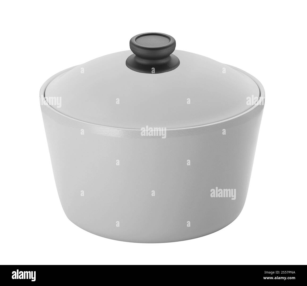 grande casseruola in acciaio inox isolata su sfondo bianco. pentola grande in acciaio inox Foto Stock