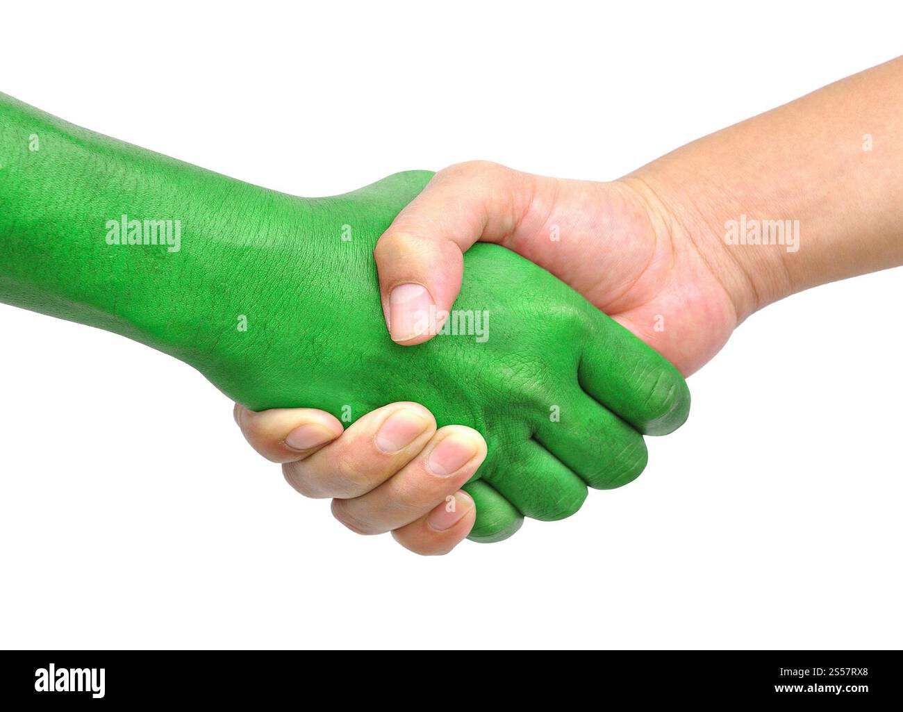stringere le mani isolata su sfondo bianco. stringere le mani isolate Foto Stock