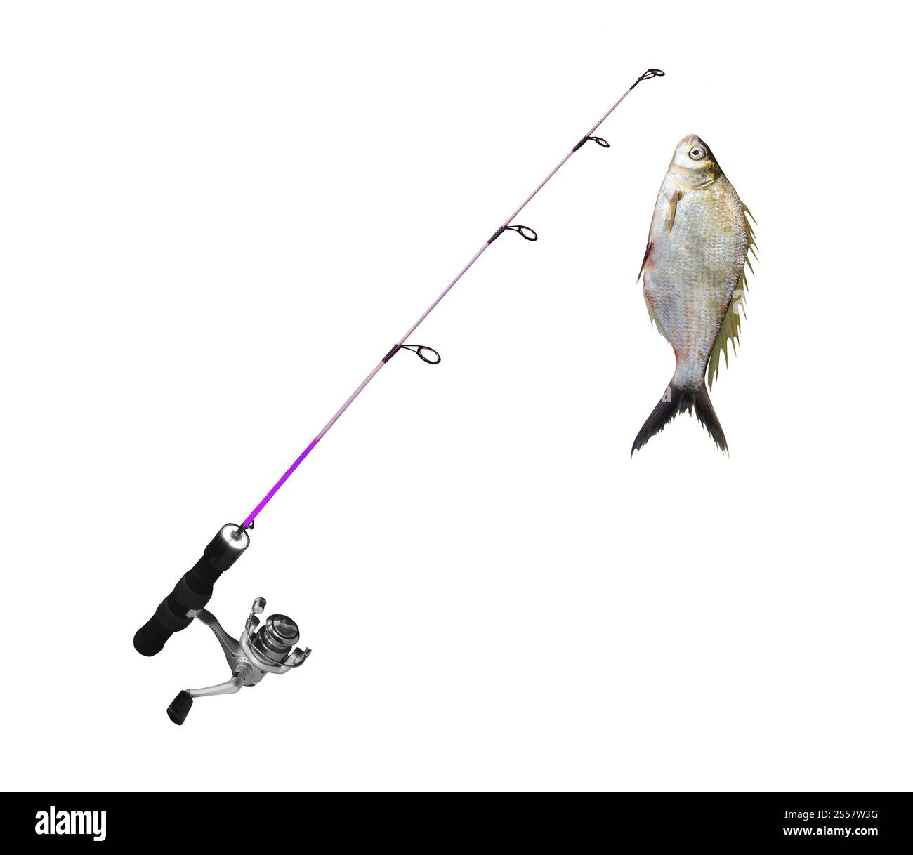 pesca su canna da pesca isolata sul bianco. pesca con canna da pesca isolata Foto Stock