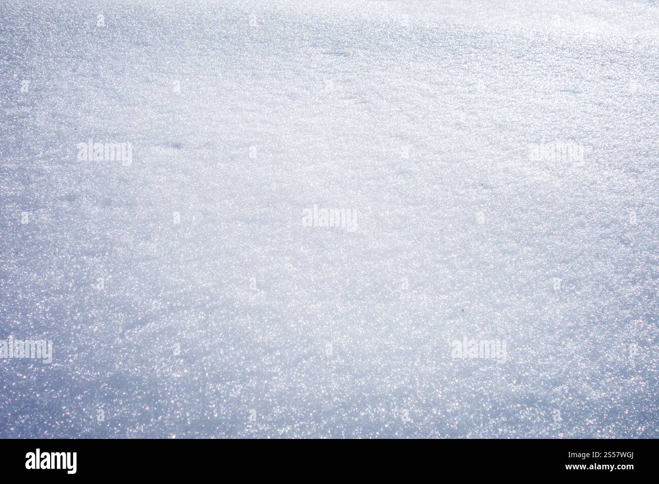 Sfondo texture neve. Sfondo invernale bianco puro. Sfondo texture neve Foto Stock