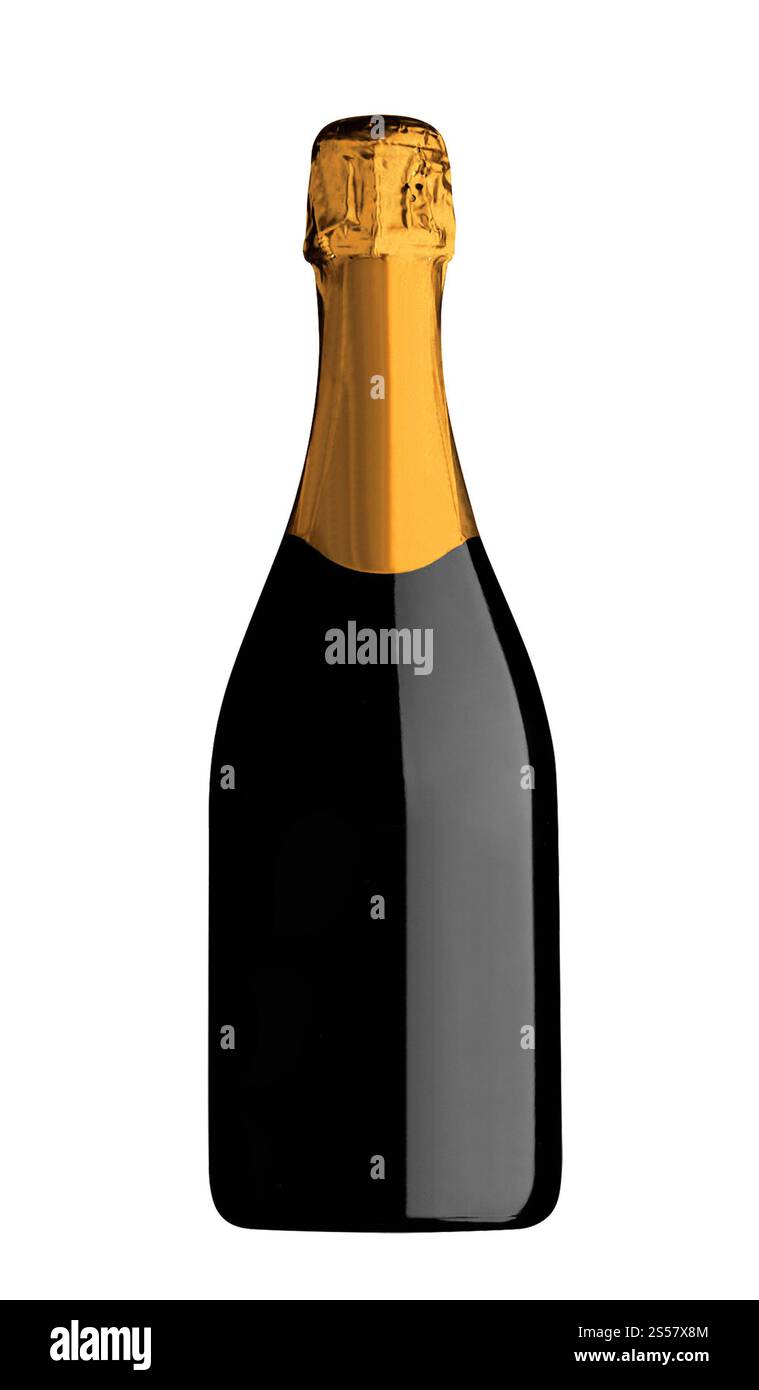 Bottiglia di champagne e bicchiere di champagne isolati su sfondo bianco Foto Stock
