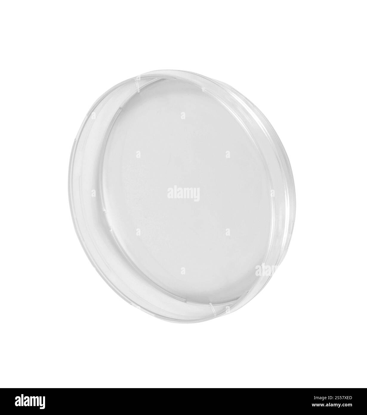 Piastra di petri isolato su bianco Foto Stock